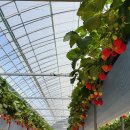 우공농장 이미지