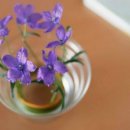 인생신호등 이미지