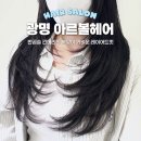 아르볼 | 광명사거리 미용실 아르볼헤어 긴머리 레이어드컷 솔직후기