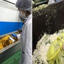 양배축산 이미지