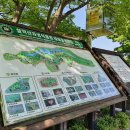 설악의 정원 이미지