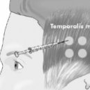 르블랑의원 이미지
