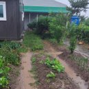 낙수농장 이미지