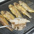 금강마트 | 영광 법성포 굴비 맛집 - “금강제일굴비” 보리굴비 / 굴비 명절 선물 추천! (내돈내산 후기)