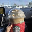 6634 | W.11 경주 본식 드레스 (+2부 드레스) 피팅 | 경주 모던드레스