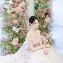보니타컬렉션