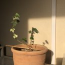 연세로뎀정신건강의학과의원 이미지