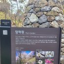 [가을 단풍 명소] 11월 화담숲 방문 후기
