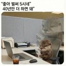 구리돌곱창본점 | 2026년 3월