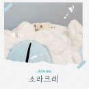 게코누나 | 성남 크레스티드 게코 아이랑 가볼만한곳 추천 소라크레 이색 반려동물 찾는다면