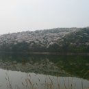 호암미술관 이미지