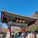 불국사 | 경주 불국사 방문 후기 주차 요금 물품보관소 정보