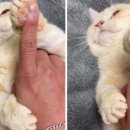 나랑놀개 이미지