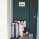 제주 여행 아기랑 마지막날 :: 성이시돌 목장 / 한라수목원 / 카페 진정성