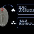 수지로3R-3 이미지