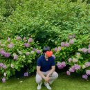 초록산마루농장 | 서울 근교 수국 명소 경기도 광주 율봄식물원 (feat. 인근 맛집 &amp; 카페 추천)