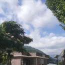 진동 계곡 민박 이미지