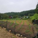 한성탑행정사 합동사무소 이미지