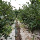 호구농장 이미지