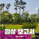 [일상 보고서] 맥주축제 다음 날 ❤️‍🩹｜아 이젠 쫌 취업하고 싶어요😱