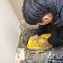 기동반-8 이미지