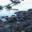 덕포해수욕장 이미지