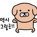 아이피모터스 이미지
