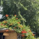 씨유잠원성한점 | 2024 잠원한강수영장 뚜벅이로 다녀온 후기,준비물,자리꿀팁,이용안내 (6/21방문)