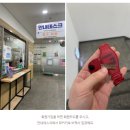 염주실내수영장 | 광주 수영장 비교: 기아수영장 vs 염주실내수영장, 가격 싸다고 다 좋을까? (장단점 솔직 후기)