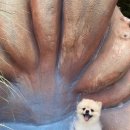 카페 아이니 이미지