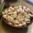 닭터네 | 경기광주 맛집/ “닭터네 닭보쌈& 요리포차” 후기