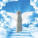 선우한의원 | 깁미댓, 아럽댓, 아우라