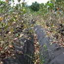 부농농장 이미지