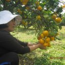 신원농장 이미지