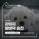 이호동물병원 이미지