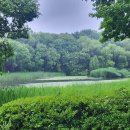 이화 행정사 사무소 이미지