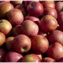 광성세탁소 이미지