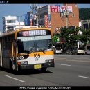 대한민국 전국 시내버스 사진 이미지
