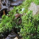 라뷰테제주 이미지