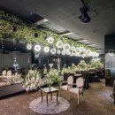 비엔티 카카오 검색결과