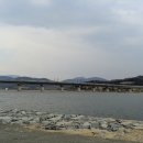 칠곡보오토캠핑장 이미지