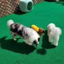 파란하늘유치원 이미지