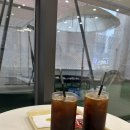 도그버디 서수원점 | 수원 영통 허니버디 베이비카페 수원점 7개월 후기