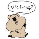 고피자 목동점 이미지