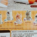 오이도작은도서관 | 갑작스런 작년 겨울 되돌아보기