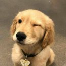 스테이서귀 이미지