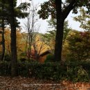 대운산자연휴양림(양산) 이미지