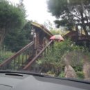 강물소리펜션 이미지