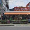 김해농약종묘사 이미지