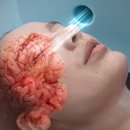 주식회사 다원식품 - 7376 | 주식회사 다원식품